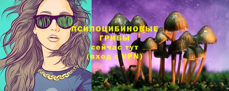 Галлюциногенные грибы MAGIC MUSHROOMS  Советская Гавань 